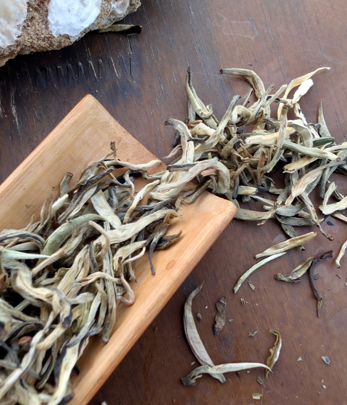 Baihao Yinzhen